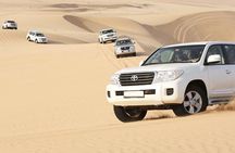 Dubai Morning Safari