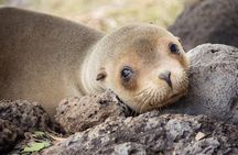 12-Day Cusco, Machu Picchu & Galápagos Islands Tour