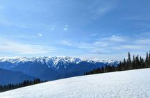 Olympic National Park Luxury Small-Group Day Tour with Lunch