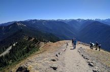 Olympic National Park Luxury Small-Group Day Tour with Lunch