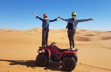1 hour Quad in the Sahara: Merzouga Off Roading Experience: Nature & Wildlife