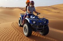 1 hour Quad in the Sahara: Merzouga Off Roading Experience: Nature & Wildlife