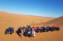 1 hour Quad in the Sahara: Merzouga Off Roading Experience: Nature & Wildlife