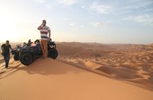 1 hour Quad in the Sahara: Merzouga Off Roading Experience: Nature & Wildlife