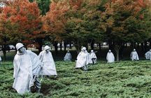 DC Mall w/ Washington Monument Ticket Exclusive Guided Tour