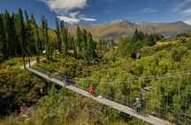 Queenstown Guided E-bike Wine Tour 