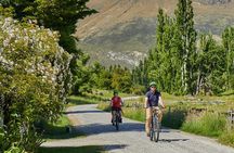 Queenstown Guided E-bike Wine Tour 