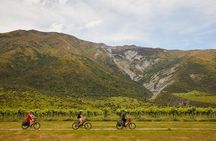 Queenstown Guided E-bike Wine Tour 