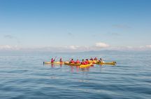The Maori Carvings Half Day Kayak