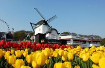 Private 4 days Nami Island&Petite France&Seoul&Everland tour