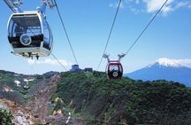 Mt. Fuji and Hakone Day Trip From Tokyo with Bullet Train Option