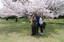 8-hour Tokyo tour by qualified tour guide using public transport