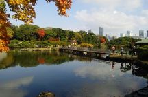 8-hour Tokyo tour by qualified tour guide using public transport