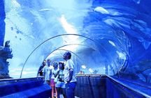 Nha Trang : Enjoy Your Best Of Nha Trang City & Relax In Spa