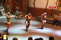 Cradle of Human Kind Tour and Lesedi Cultural Village Day Tour 