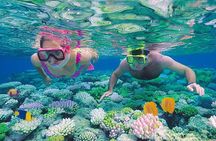 Red Sea Snorkeling from Hurghada 