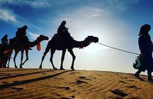 Sahara Activities Package: Quads, Camel Riding, Sandboarding, Camp Overnight