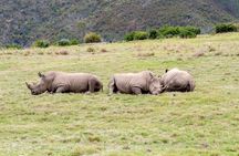 3 Day Garden Route's Best Highlights with Safari from Cape Town