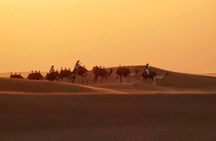 Dubai Desert 4x4 Safari with Camp activities & BBQ Dinner