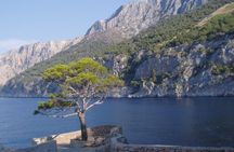 Mesmerizing Hvar speed boat tour with optional wine tasting