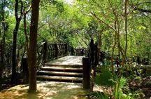 Tulum Mayan Ruins Express