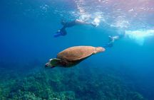 Guided Sea Scooter Snorkeling Tour Wailea Beach