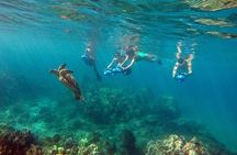 Guided Sea Scooter Snorkeling Tour Wailea Beach