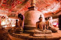 Sigiriya Rock & Dambulla Cave Temple Private Guided Day Trip