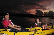 Bio Bay Kayak Tour in Fajardo