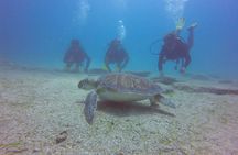 Discover Scuba diving