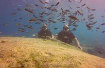 Discover Scuba diving