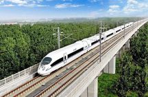 Hangzhou Private Customized Day Trip from Shanghai by Bullet Train