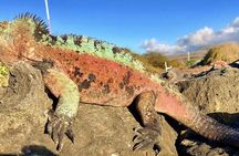 Galapagos Island Hopping (Santa Cruz, San Cristobal and Isabela)