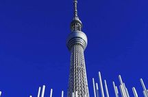Private tour Tokyo - The Harmony of Modernity and Tradition