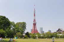 8-hour Tokyo tour by qualified tour guide using public transport