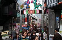 8-hour Tokyo tour by qualified tour guide using public transport