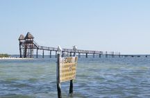 HOLBOX ISLAND TOUR - from Holbox (Private)