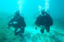 Discover Scuba Diving