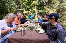 "Best of Mount Rainier National Park" Experience from Seattle