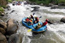 World-Class Mae Taeng River Whitewater Rafting Experience