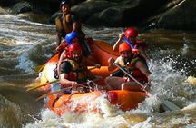 World-Class Mae Taeng River Whitewater Rafting Experience