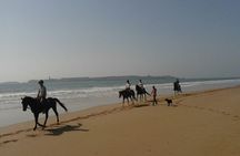 1 hour horse ride on the beach of essaouira
