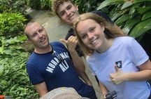 Castries City Walking Tours