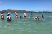 2Day West Coast Adventure