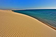 Doha : Half Day Desert Safari With SandBoarding and Camel Ride