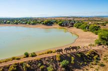 2 Day South African Wildlife Tour with 4x4 Safari from Cape Town