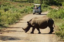 2 Day South African Wildlife Tour with 4x4 Safari from Cape Town