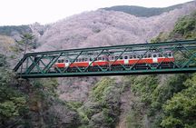 Exciting Hakone - One Day Tour from Tokyo