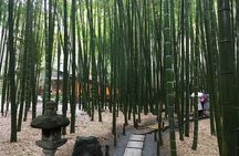 Exciting Kamakura - One Day Tour from Tokyo