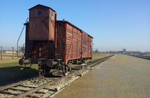 Krakow to Auschwitz Birkenau and Salt Mine 1 Day Tour FREE ebook 